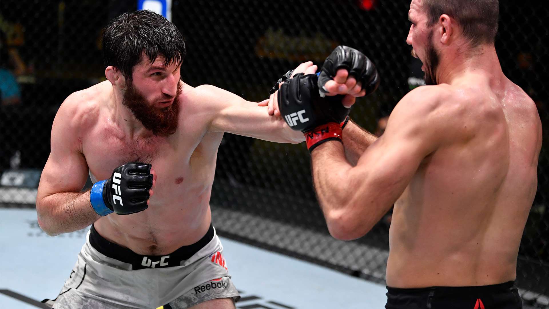 2023-2024賽季英格蘭足球冠軍聯賽積分榜.